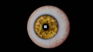 Blender Eyes With Iris Animated