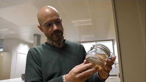 Researchers Sequence the First Genome of Myxini - Only Vertebrate Lineage With No Reference Genome