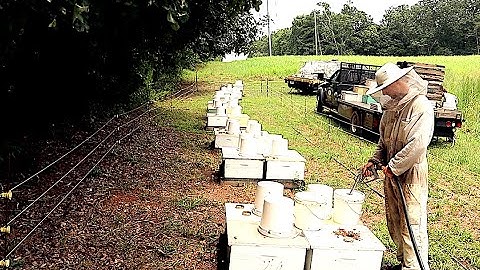 Feeding Bees Part 1: Pollen Substitute and Sugar Syrup - How, What and Why