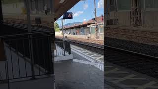 Fast TGV Train passing at Lenzburg #shorts #viral #train #trending #fyp #reels