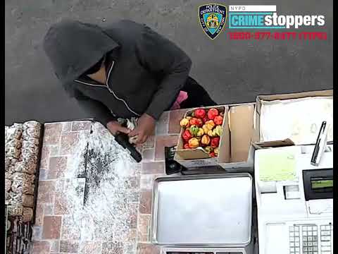 Policía persigue asaltante en Brooklyn