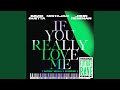Miniature de la vidéo de la chanson If You Really Love Me (How Will I Know) (David Guetta And Morten Future Rave Remix)