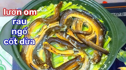 Cách Nấu Lươn Um Rau Ngổ Nước Cốt Dừa Thật Đặc Biệt || Nấu Nữa Nè