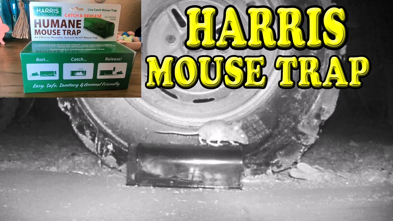 Harris EMT-LIVE Catch and Release Humane Mouse Trap