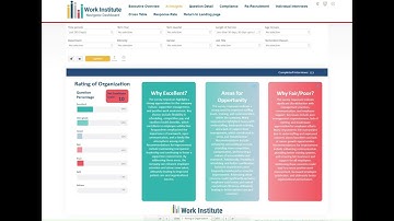 Introduction to AI Insights in Work Institute