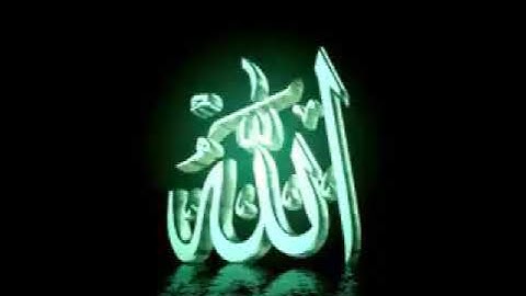تلاوة للقارئ وليد المصباحي حفظه الله