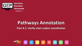 GEP | Pathways Gene Annotation Part 6.1 - Verify start codon coordinates