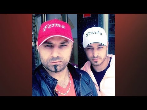 Leo de Vis & Cristi Mega - Am si eu un fratior ( pentru Printu & Ferma )