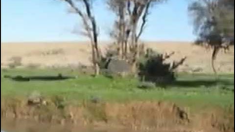 سورة السجده بصوت الشيخ عبدالعزيز الحميدى