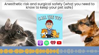 Anesthetic risk and surgical safety (what you need to know to keep your pet safe)