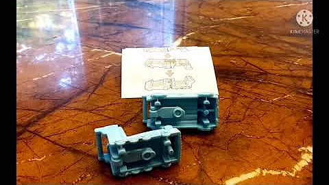 Video 3835521: persian cat review, calico persian cat