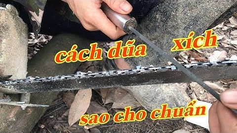 cách dũa xích cưa dành cho người mới biết cưa mới tập dũa xích| hoai han vlog