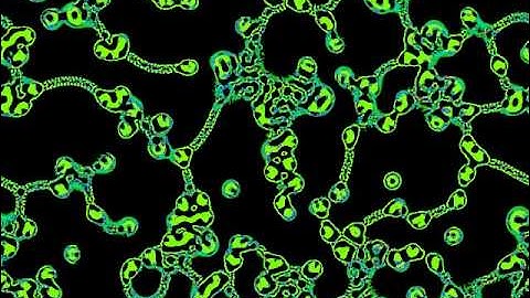 Game of Life generalized - SmoothLifeK