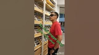 kr Kau tinggal pergi koes plus