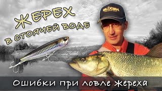 видео: НЕ ДЕЛАЙТЕ ЭТОГО ЕСЛИ ХОТИТЕ ПОЙМАТЬ ЖЕРЕХА! Ошибки при ловле жереха на спиннинг | Fishing for asp картинка: НЕ ДЕЛАЙТЕ ЭТОГО ЕСЛИ ХОТИТЕ ПОЙМАТЬ ЖЕРЕХА! Ошибки при ловле жереха на спиннинг | Fishing for asp
