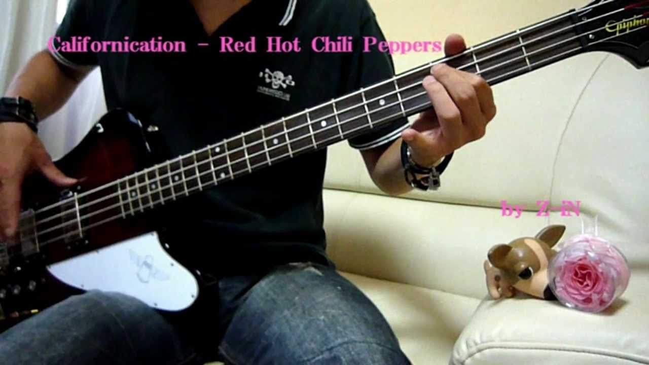 Red Hot Chili Peppers Californication bass cover by ZiN YouTube