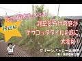 雑草対策　神戸市　雑草だらけの庭がテラコッタタイルの庭に大変身！