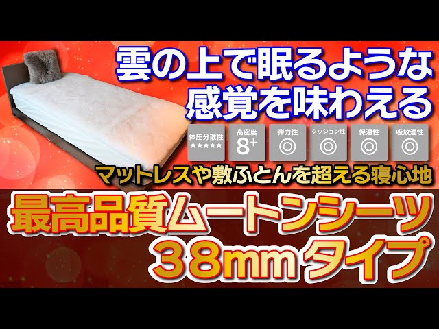 More Comfortable Than a Mattress or Futon! Introducing the Highest