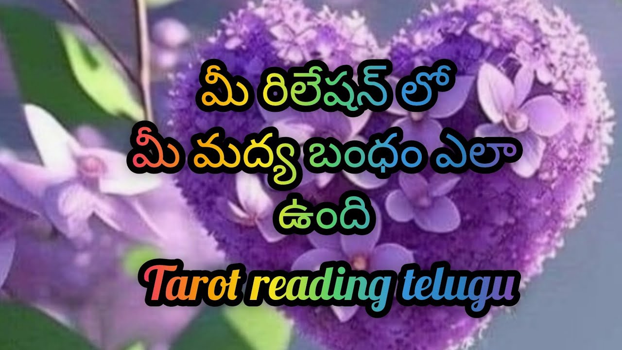 🧚❤️🤔మీ మద్య బంధం ఎలా ఉంది ప్రెసెంట్ | Tarot reading today|Sun Divine Tarot 