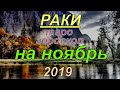 ГОРОСКОП РАКИ НА НОЯБРЬ.2019