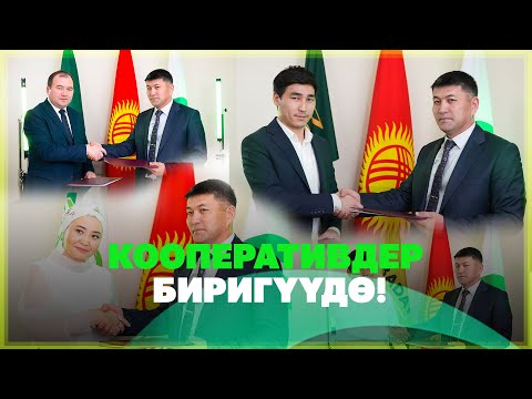 Video: Кредиттик керектөө кооперативи 