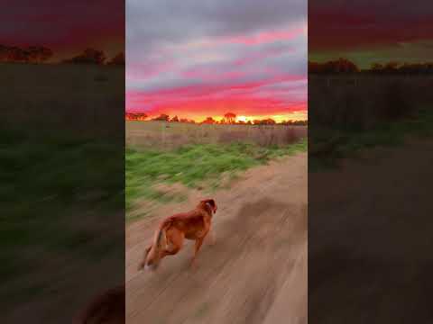 This feeling 🥹🫀