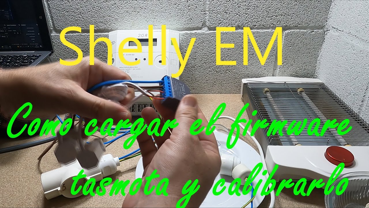 Shelly EM output - Tecnoyfoto - Tu web de electrónica y domótica