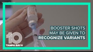 USF Health virologist answers your COVID-19 vaccine questions around long-term effects