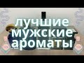 ТОП 5 ЛУЧШИЕ МУЖСКИЕ АРОМАТЫ / САМЫЙ КОМПЛИМЕНТАРНЫЙ ПАРФЮМ НА ЗИМУ