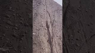 ARNR -  all risk no reward