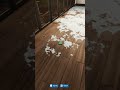 Cleaning a Flooded House | Satisfying #houseflipper2 #shorts