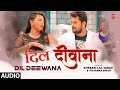 Audio Khesari Lal Song Dil Deewana द ल द व न Bhojpuri Song Priyanka Singh T Series Audio Khesari Lal Song Dil Deewana द ल द व न Bhojpuri Song Priyanka Singh T Series