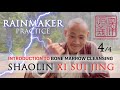 Introduction to Xi Sui Jing (4/4) ⛈️ Form Demonstration ⛈️