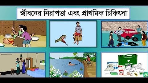 Class Four Science Pat- 11// চতুর্থ শ্রেণি সাধারণ বিজ্ঞান অধ্যায়-11