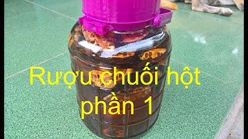 Vlog 357 - Ngâm rượu - Rượu chuối hột phần 1