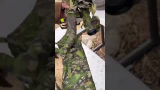 INSANE SNIPER HPA BUILD INSANE SNIPER HPA BUILD