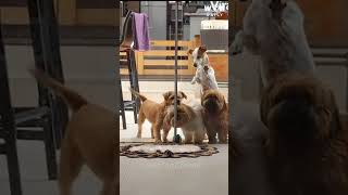 Teamwork Makes The Dream Work Wow Daily