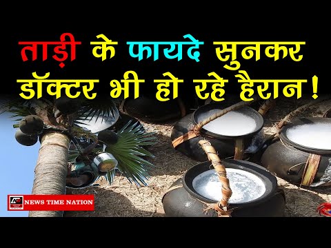 ताड़ी के फायदे सुनकर डॉक्टर भी हो रहे हैरान | आयुर्वेदिक आश्चर्यचकित | News Time Nation