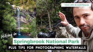 HIKING in SPRINGBROOK NATIONAL PARK - Best Day Trip from the Gold Coast | Van Life Australia | Ep 9