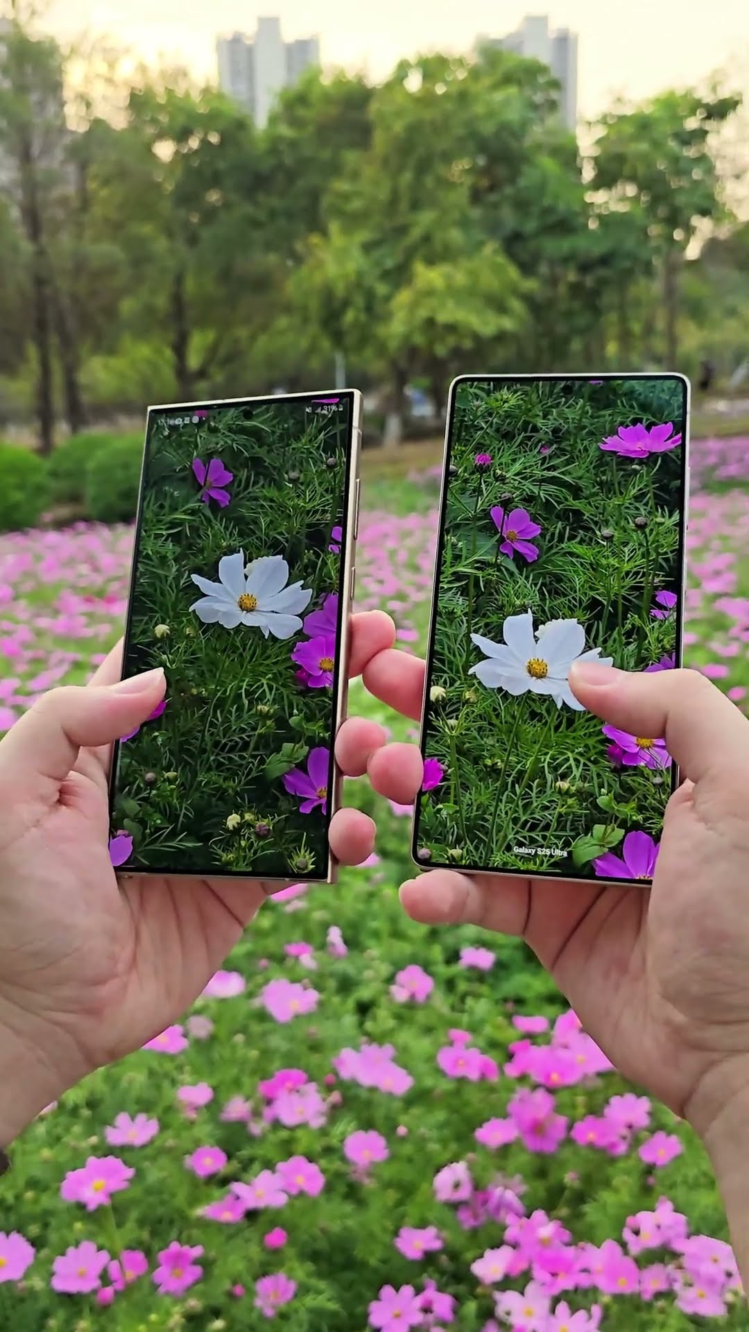 Spring Samsung Digital Technology Mobile Photography