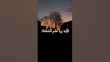إليه يرد علم الساعة | سورة فصلت (القارئ : عزيز نصير) #القرآن #الآخرة #تلاوة #شورتس