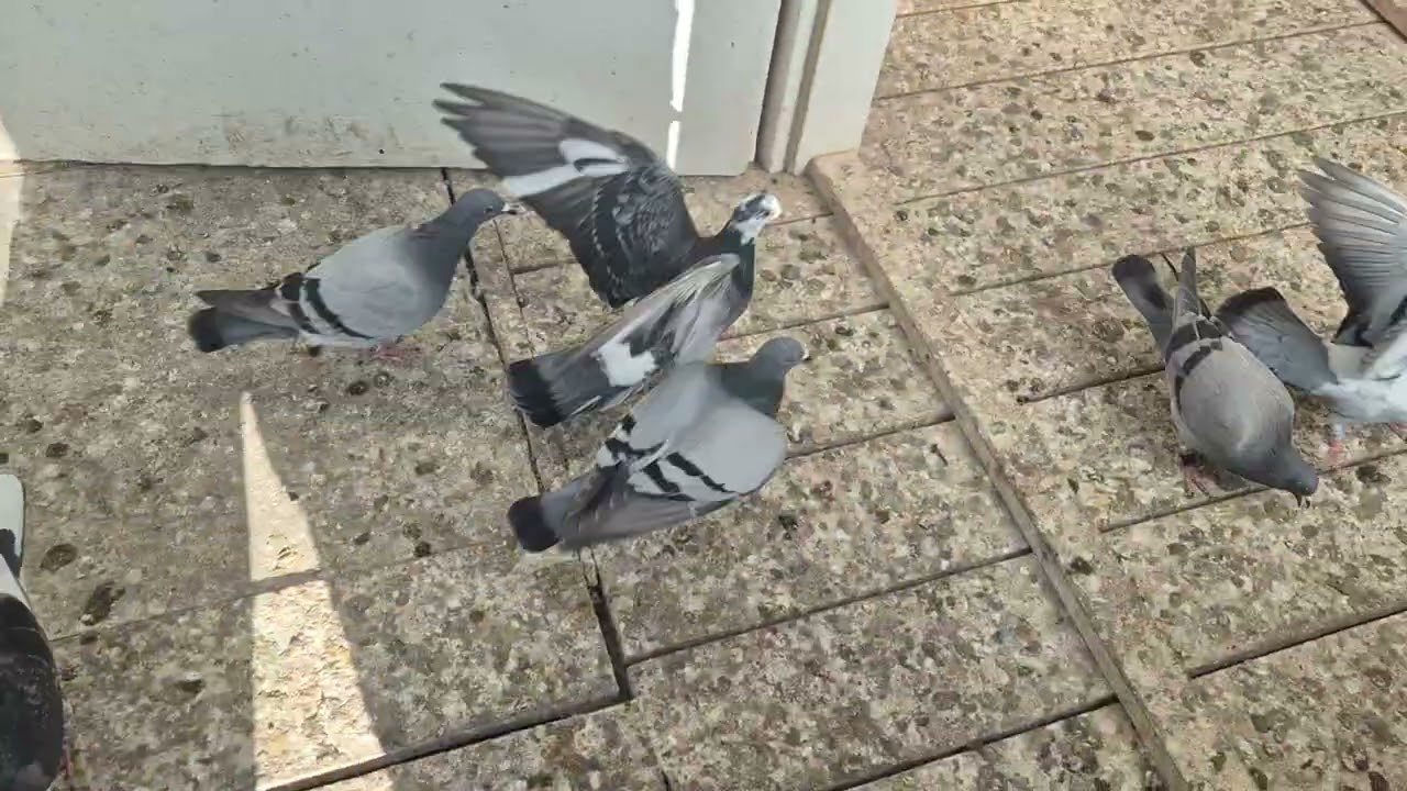 To samo życie tel.691019535. 