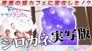 TVアニメ「あやかしトライアングル」連動企画『シロガネを探せプロジェクト！』#03