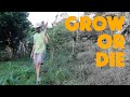 Gardening in a Crisis: Survival Gardening 101 and What I am Planting