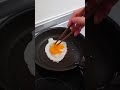 【お弁当作り】専業主婦が作る旦那弁当~ころころはんぺんフライ編~ #shorts