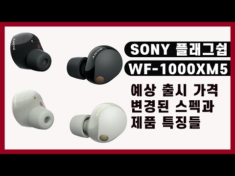 [랜선리뷰] SONY WF-1000XM5 드디어 신제품 소니이어폰이 출시되네요