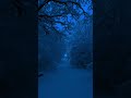 ❄ #beats #sadboys #typebeat #forrest #snow #lilpeep #aesthetic