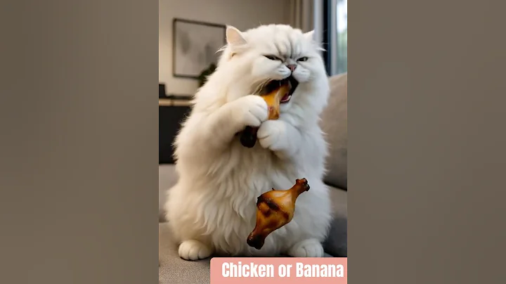 Watch the video about Beautiful cat eating Chicken Banana #cat #catlover #cutecat #love #catvideos #shortsfeed #shorts
