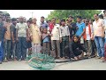 Trending           very dangerous rescue of cobra snake