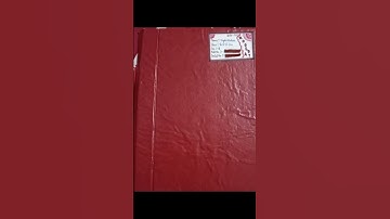 CCS University Meerut BSC 2nd Sem Zoology Practical File Work:- Sagital Section Of Pituitary Gland 🔬